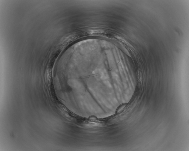 X0000112770475200909101555