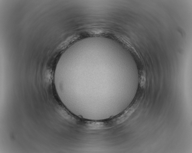 X0000112770476200909101555