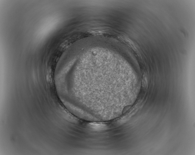 X0000112770477200909101555