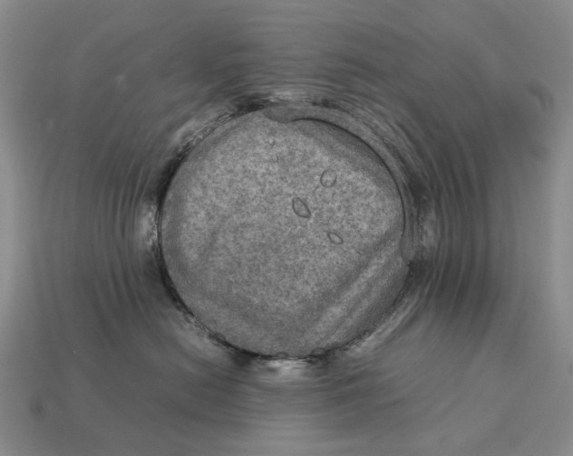 X0000112770478200909101555