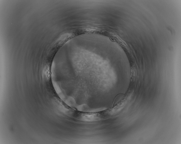 X0000112770479200909101555