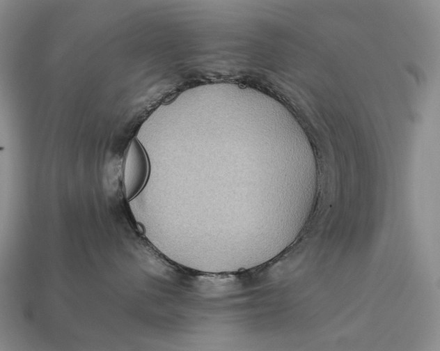 X0000112770480200909101555