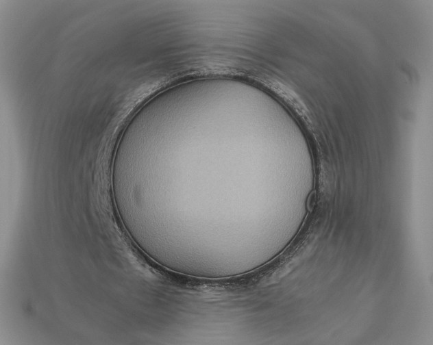 X0000112770481200909101554