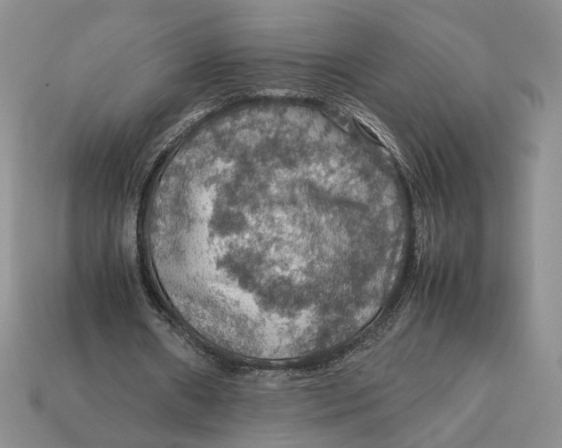 X0000112770482200909101554