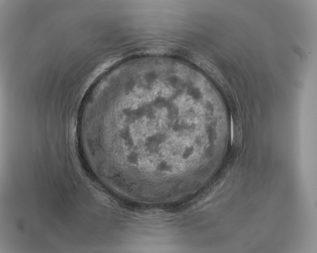 X0000112770483200909101554