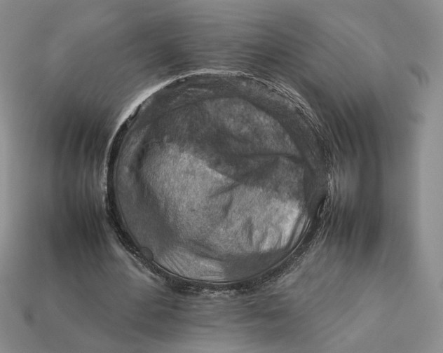 X0000112770484200909101554