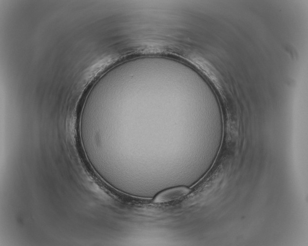 X0000112770485200909101554