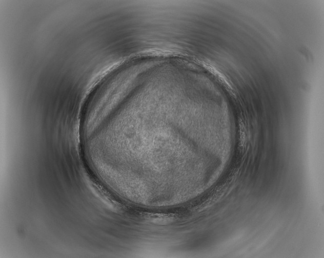 X0000112770486200909101554