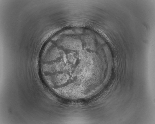 X0000112770487200909101554