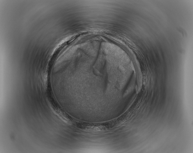 X0000112770488200909101554