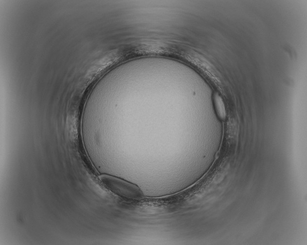 X0000112770489200909101554