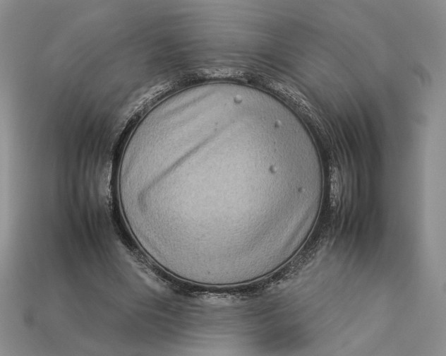 X0000112770490200909101554