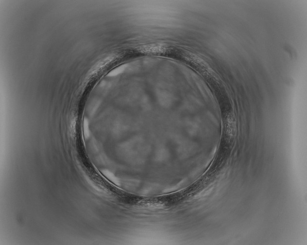 X0000112770491200909101554