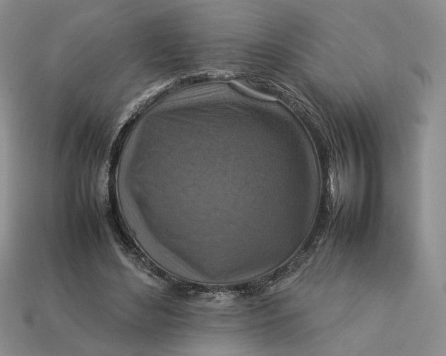 X0000112770492200909101554