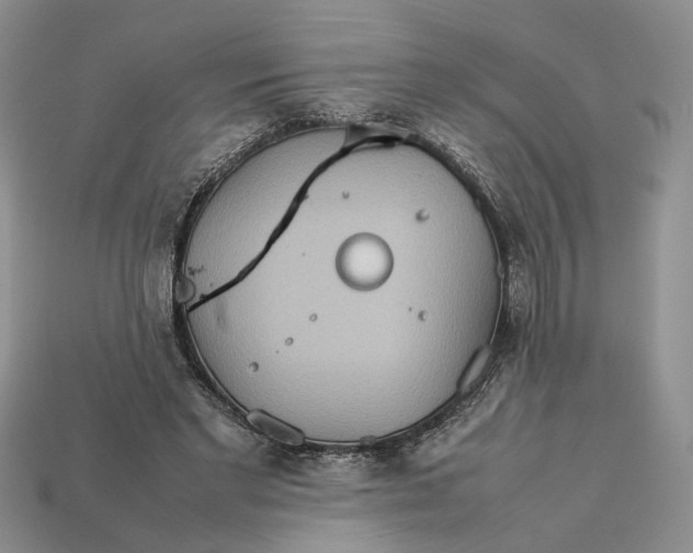 X0000112770493200909101554