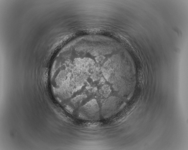 X0000112770495200909101554