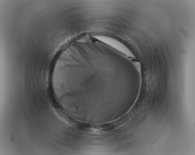 X0000112770496200909101554