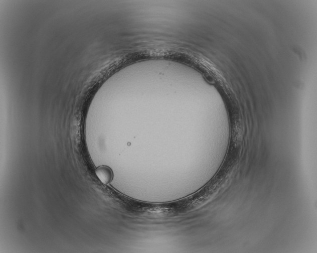 X0000112770497200909101554