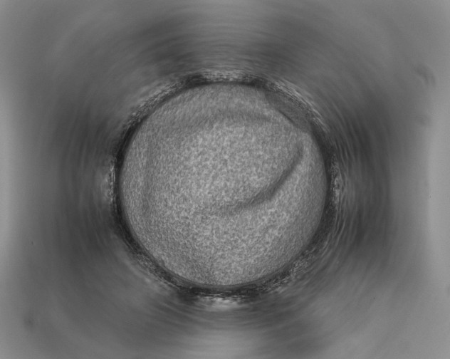 X0000112770498200909101554