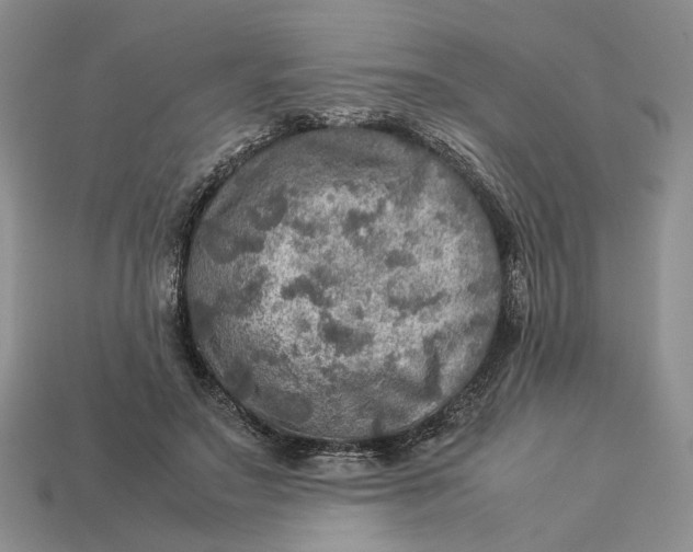 X0000112770499200909101554