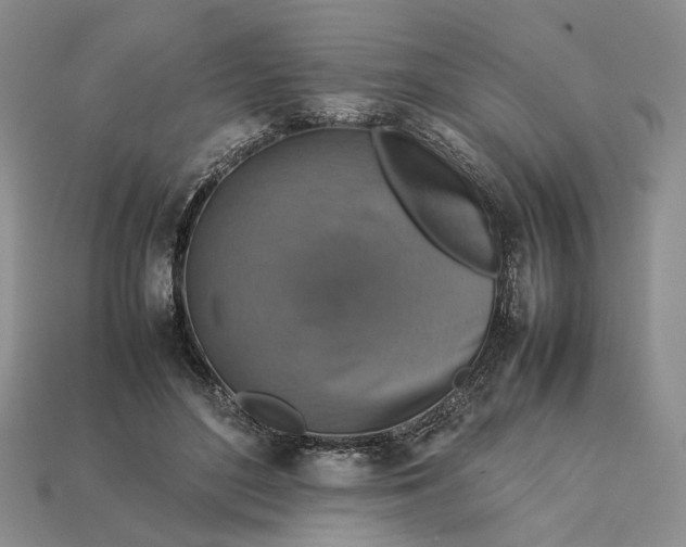 X0000112770500200909101554