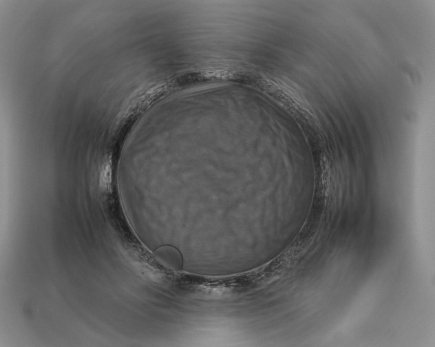 X0000112770502200909101554