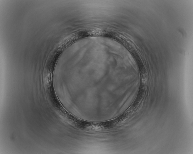 X0000112770503200909101554