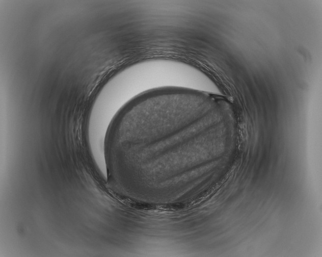 X0000112770504200909101554