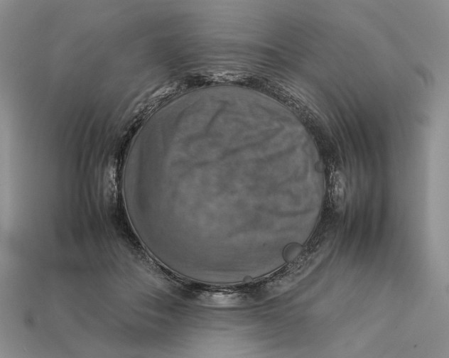 X0000112770506200909101554