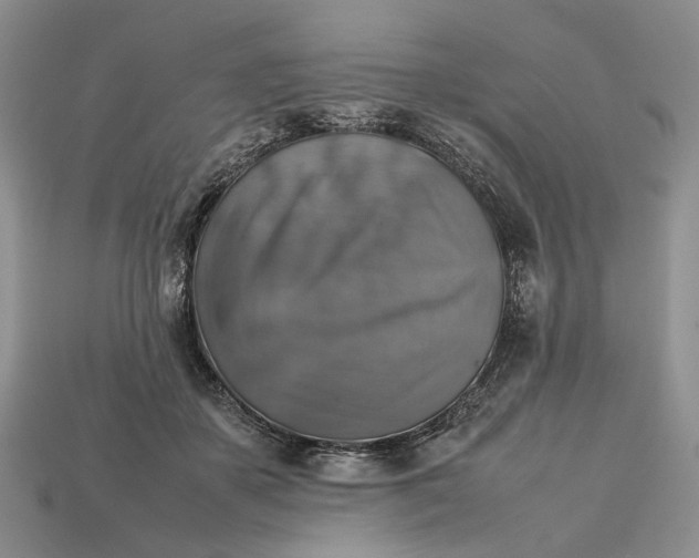 X0000112770507200909101554