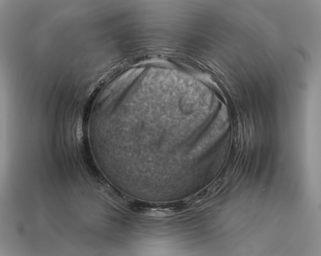 X0000112770508200909101554