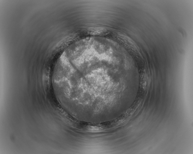 X0000112770510200909101554