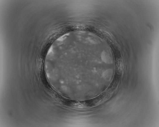 X0000112770511200909101554