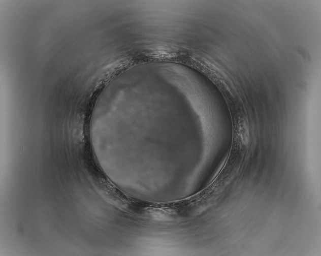 X0000112770512200909101554