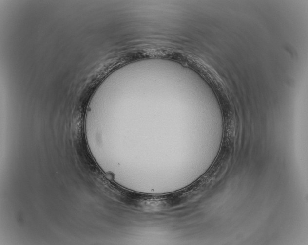 X0000112770513200909101554