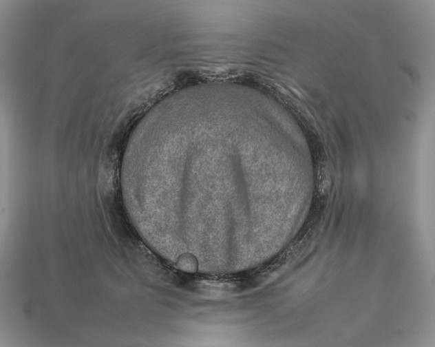 X0000112770515200909101554