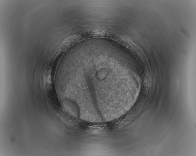 X0000112770516200909101554