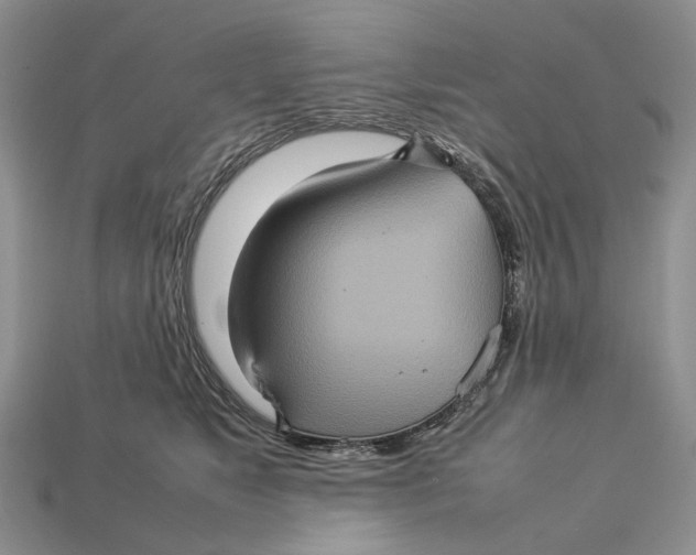 X0000112770517200909101554