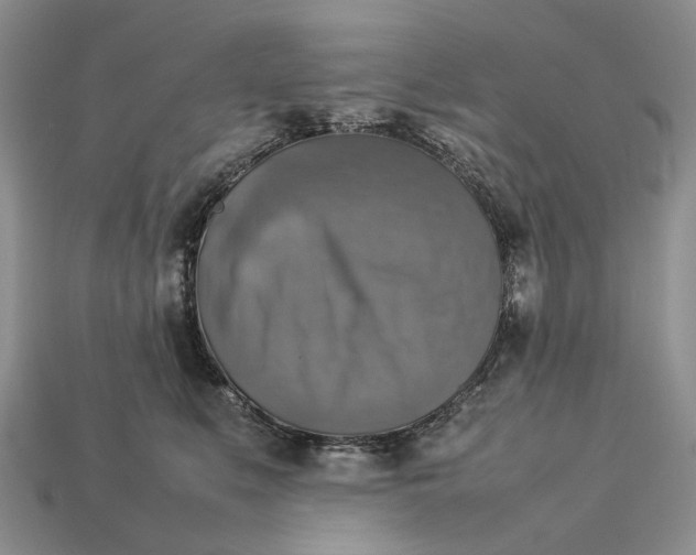 X0000112770519200909101554