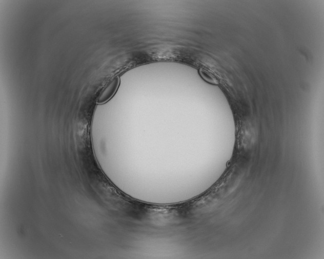 X0000112770521200909101554