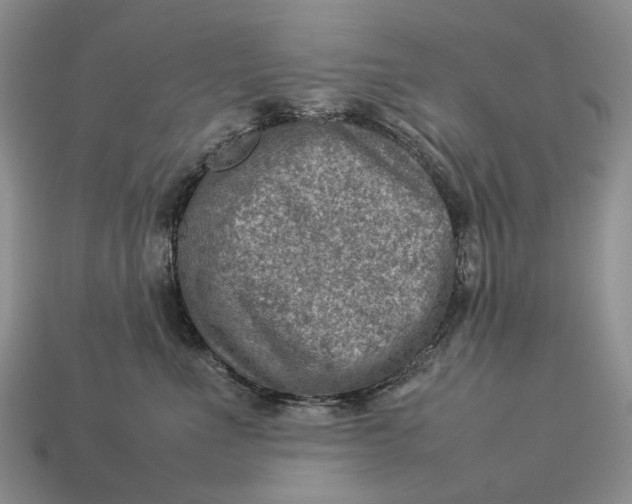 X0000112770523200909101554