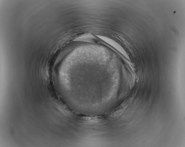 X0000112770524200909101554