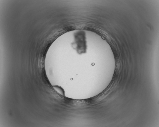 X0000112770525200909101554