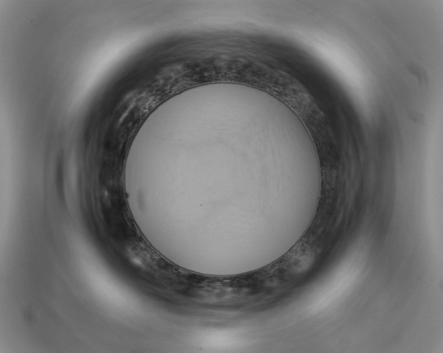 X0000112770526200909101554