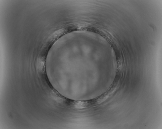 X0000112770527200909101554