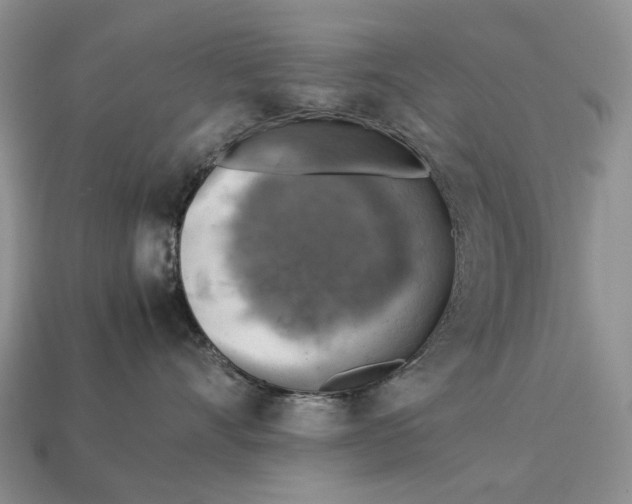 X0000112770528200909101554