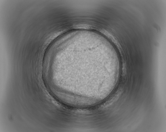 X0000112770529200909101553