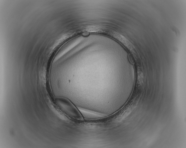 X0000112770530200909101553