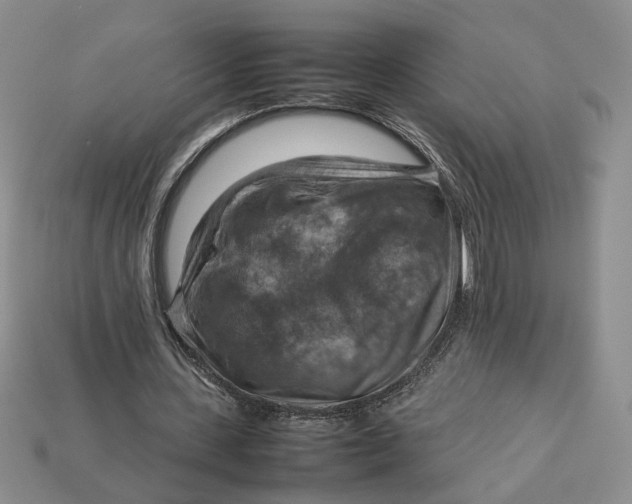 X0000112770531200909101553