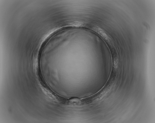 X0000112770532200909101553